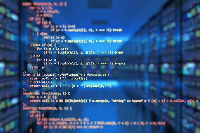 What are the types of proxy IPs?